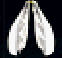 Armor Image