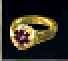 accessory Image