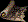 etcitem Image