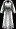 Armor Image