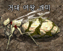 보스 이미지