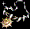 accessory Image