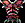 Armor Image