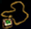 accessory Image